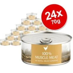 Wild Freedom Instinctive Adult Saver Pack 24 X 70g