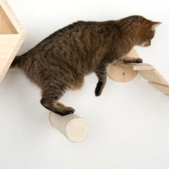 Korbin Wall Mounted Scratch Post -Zooplus Shop 105348 kratzstamm korbin fg 8518 6