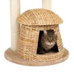 Banana Leaf Bali Cat Tree -Zooplus Shop 105457 banana leaf kratzbaum bali fg 4 5