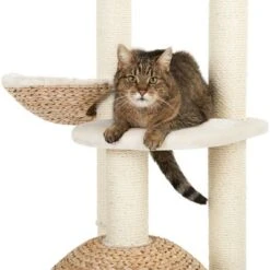 Laguna Cat Tree -Zooplus Shop 105458 kratzbaum laguna fg 6 6
