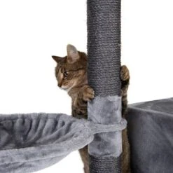 Nox Scratching Tree -Zooplus Shop 105460 kratzbaum fg 7115 9