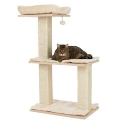 Natural Paradise Scratching Tree - Orchid M -Zooplus Shop 109397 katze fg 9376 9