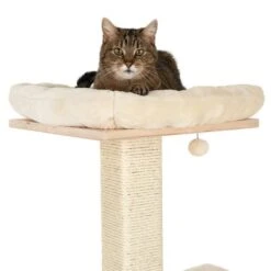 Natural Paradise Scratching Tree - Orchid L -Zooplus Shop 109398 katze fg 9360 6