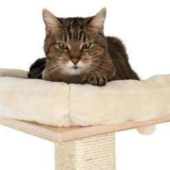 Natural Paradise Scratching Tree - Orchid M -Zooplus Shop 109398 katze fg 9361 8