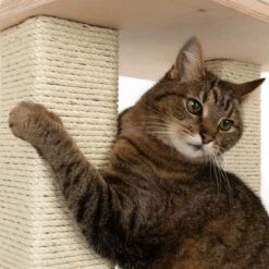 Natural Paradise Scratching Tree - Orchid L -Zooplus Shop 109398 katze fg 9367 9