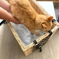 Aumüller Wicker Basket Cat Den -Zooplus Shop 109499 aumuller katzentransportkorb wohnhohle 05 0