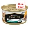 24 X 85g Purina Pro Plan Wet Cat Food - 20 + 4 Free!* -Zooplus Shop 1106634 3