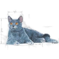 Royal Canin Instinctive 7+ In Gravy -Zooplus Shop 113466 oralmature 1