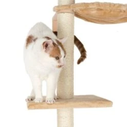 Orion Cat Tree -Zooplus Shop 113601 orion mit katze fg 1467 8