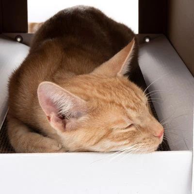 XL Cat Den With Scratching Pad Winter Edition 8 XL Cat Den With Scratching Pad Winter Edition - Image 6