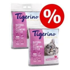 Zooplus Shop 29 2 X 12kg Tigerino Canada / Premium Cat Litter - Special Price!*