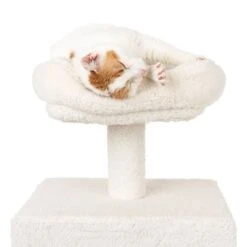 La Digue II Cat Tree -Zooplus Shop 126196 mit katze fg 4520 1