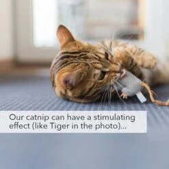 Kater Kasimir Catnip 11 Kater Kasimir Catnip -Zooplus Shop 144896 asaquaristik kater kasimir katzenminze cat 60g hs 06 3