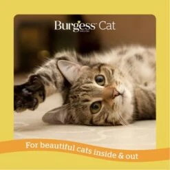 Burgess Adult Cat Rich In Chicken With Duck -Zooplus Shop 1624624427220 4 4