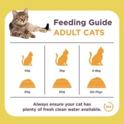 Burgess Adult Cat Rich In Chicken With Duck -Zooplus Shop 1624624428002 1 4