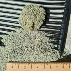 Professional Classic Cat Litter With Odour Neutraliser -Zooplus Shop 1 130196 130096 schulze professional classic katzenstreu hs 01 8