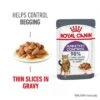 Royal Canin Appetite Control Care In Gravy -Zooplus Shop 1 rc fcn appetitecontrolpouchgravy 1 en gb 1