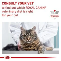 Royal Canin Veterinary Cat - Urinary S/O -Zooplus Shop 1 rc vet dry caturinarysomc eretailkit b1 page 09 6