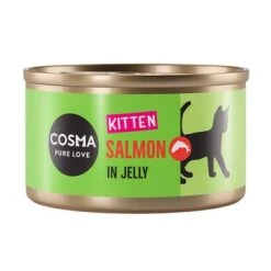Cosma Original Kitten Saver Pack 24 X 85g -Zooplus Shop 203440 pla cosma kitten salmon jelly 85g 1000x1000 6