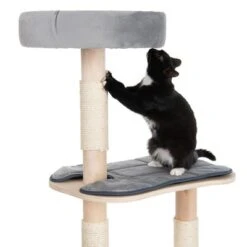 Cali Cat Tree -Zooplus Shop 215615 kratzbaum cali fg 9026 8