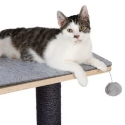 Raleigh Scratching Tree -Zooplus Shop 216199 kratzbaum raleigh fg 8247 8