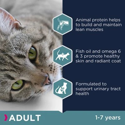Eukanuba Sterilised/Weight Control Adult 4 Eukanuba Sterilised/Weight Control Adult - Image 2
