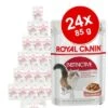 Royal Canin Wet Cat Food Saver Pack 24 X 85g -Zooplus Shop 232783 neu 3