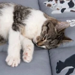 Cat Cushion Medley -Zooplus Shop 233899 katzenkissen medley fg 9770 3