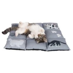 Cat Cushion Medley -Zooplus Shop 233899 katzenkissen medley fg 9775 0