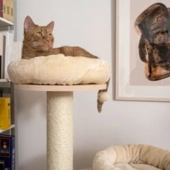 Natural Paradise Cat Tree Magnolia L -Zooplus Shop 239396 np magnolia im wohnraum fg 8826 0