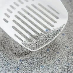 Intersand Classic Pine Forest Scented Cat Litter -Zooplus Shop 248818 intersand classic katzenstreu pinienwald hs 03 8