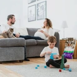 Intersand Classic Pine Forest Scented Cat Litter -Zooplus Shop 248818 intersand classic katzenstreu pinienwald hs 05 8