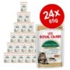 Royal Canin Breed Wet Cat Food Saver Pack 24 X 85g -Zooplus Shop 24x85g royalcaninsaverpac edited 2 1