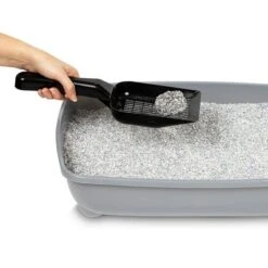 Ever Clean® Spring Garden Clumping Cat Litter -Zooplus Shop 287598 pla everclean spring garden klumpstreu 10l hs 06 4