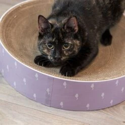 Trixie Scratching Bed Lilly -Zooplus Shop 332797 trixie kratzbett lilly hs 07 3