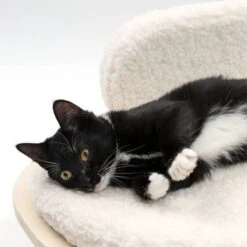 Modern Living Sofa Osaka 14 Modern Living Sofa Osaka -Zooplus Shop 342803 modern living osaka katze 0644 6