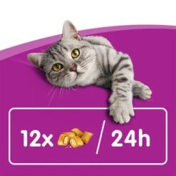 Whiskas Temptations Mixed Pack -Zooplus Shop 348898 mars whiskas snacks mixpack 16x60g hs 04 8