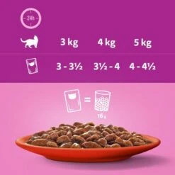 Whiskas 1+ Pouches Mega Pack 96 X 85g -Zooplus Shop 356096 mars sparpaket whiskas frischebeutel 48x85g hs 07 0