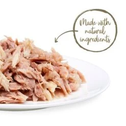 Applaws Pouches Cat Food In Jelly Mega Pack 32 X 70g -Zooplus Shop 362008 applaws pouch thunfischmakrele 70g hs 03 3