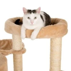 Bear's Den Cat Tree -Zooplus Shop 49702 kratzbaum baerenhoehle fg 4761 6