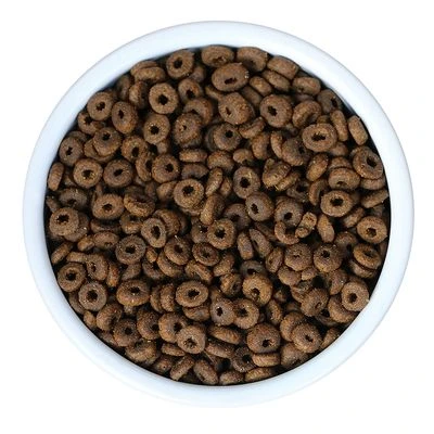 Porta 21 Feline Finest Kitten 6 Porta 21 Feline Finest Kitten - Image 4