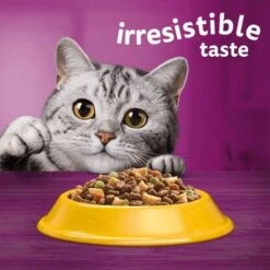 Whiskas 1+ Chicken -Zooplus Shop 5900951014352 si02 uk 4