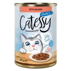 Catessy Chunks In Gravy Or Jelly Saver Pack 24 X 400g -Zooplus Shop 59345 pla catessy jelly salmon 400g 2