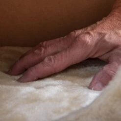 Oasis Cat Tree -Zooplus Shop 64590 oase cream fg 14 5