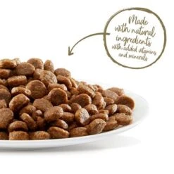 Applaws Chicken & Duck Cat Food -Zooplus Shop 64767 applaws cat adult huhnente 2kg hs 04 0