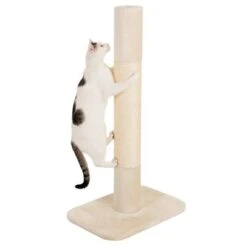 XXL Jumbo Scratching Post 14 XXL Jumbo Scratching Post -Zooplus Shop 68650 xxl kratzstamm jumbo kratzstamm creme fg 1321 6