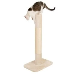 XXL Jumbo Scratching Post 16 XXL Jumbo Scratching Post -Zooplus Shop 68650 xxl kratzstamm jumbo kratzstamm creme fg 1325 8