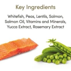 Applaws Cat Food Economy Packs -Zooplus Shop 71009 applaws adult meeresfisch lachs hs 02 5