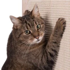 Natural Paradise Scratching Barrel - Daisy -Zooplus Shop 75376 kratztonne np kahone fg 5701 2