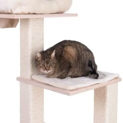 Natural Paradise Scratching Tree - Orchid Vanda L -Zooplus Shop 75552 kratzbaum np quadra fg 6204 8